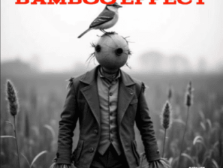 Catalistic Tone Bamboo Effect Mp3 Download