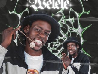 Chillie Kid SA Welele Mp3 Download