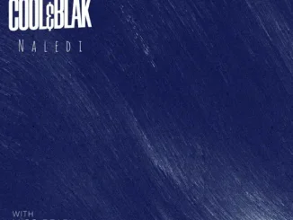 Cool&Blak Naledi Mp3 Download