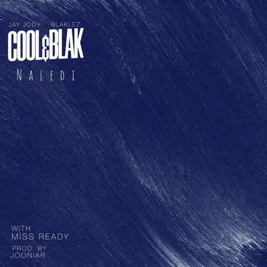 Cool&Blak Naledi Mp3 Download