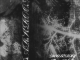 DooBerry DarkRoom Mp3 Download