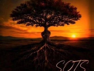 Kelvin Momo Son Of The Soil Album Download