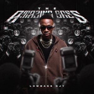 Lowbass Djy The Amazing Bass Album Download