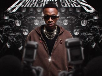 Lowbass Djy The Amazing Bass Album Download