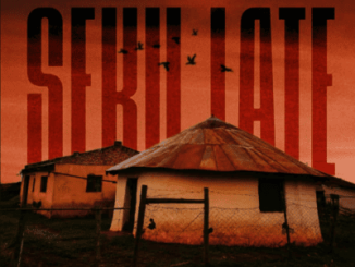 Luu Nineleven Seku Late Mp3 Download