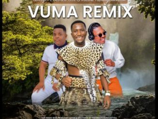Menzi Music Vuma (Remix) Mp3 Download