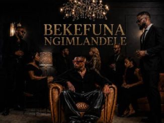 Pushkin RSA BEKEFUNA NGIMLANDELE Mp3 Download
