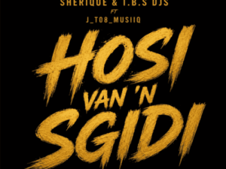 Sherique Hosi Van a Sgidi Mp3 Download