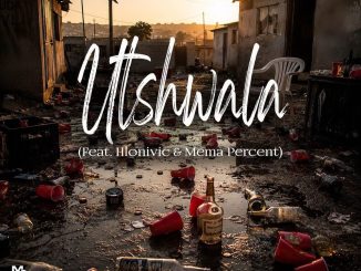 Shortgun Utshwala Mp3 Download