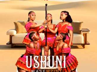 Shuni waseMzini Why Mp3 Download
