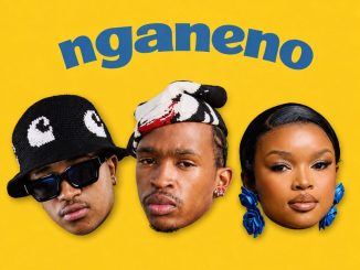 Tallrickyworldwide NGANENO Mp3 Download