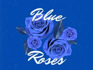 TshegoDeDjy Blue Roses Mp3 Download