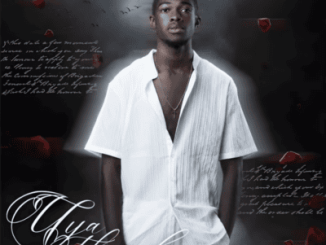 Vocalkat Uyathandwa Mp3 Download