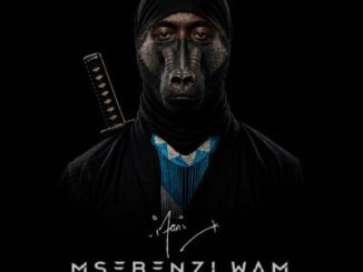 iFani Into Zomhlaba Mp3 Download