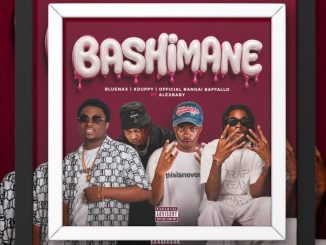 Bluenax Bashimane Mp3 Download