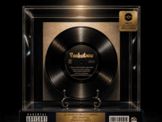 DJ Njabsta Peekaboo Mp3 Download