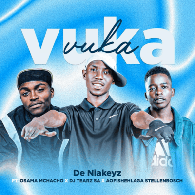 De Niakeyz Vuka Vuka Mp3 Download