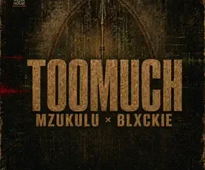 Digital Maskandi Too Much Mp3 Download