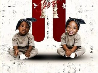 M&N Projects Cisza II Album Download