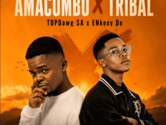 TopDawg SA Amacombo x Tribal Mp3 Download
