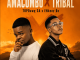 TopDawg SA Amacombo x Tribal Mp3 Download