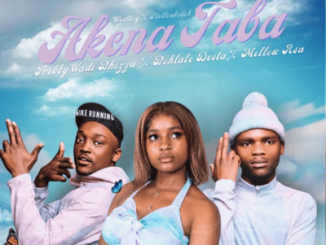Tribby Wadi Bhozza Akena Taba Mp3 Download