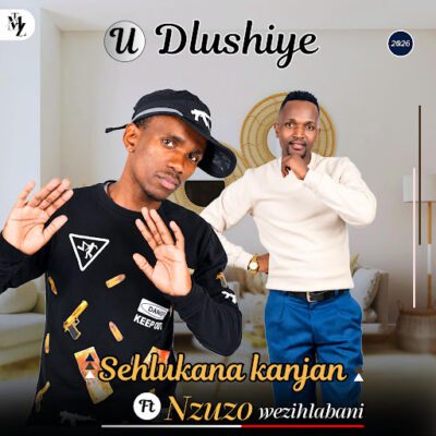 Udlushiye Sehlukana Kanjani Mp3 Download