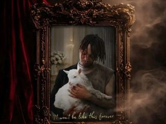 XDuppy Dali Mp3 Download