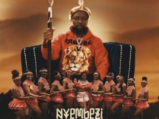 Zola Nyembezi Zamatshitshi Mp3 Download
