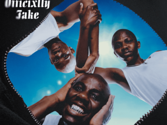 Fake'well The Whoop Effect Mp3 Download