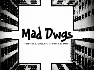GqoMLorD Mad Dwgs Mp3 Download