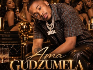 Mellow & Sleazy Gudzumela 2.0 Mp3 Download