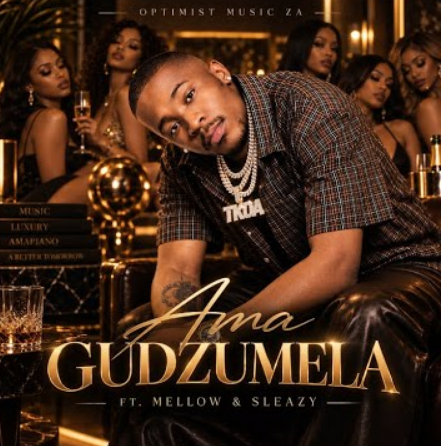 Mellow & Sleazy Gudzumela 2.0 Mp3 Download