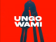 Mick Man Ungowami Mp3 Download