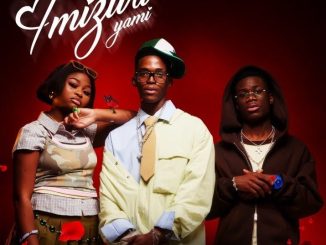 Mshibe Imizwa Yami Mp3 Download
