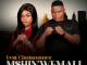 Mshinwemali Ukwamukela Mp3 Download