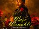 Okwanda Waze Wamuhle Mp3 Download