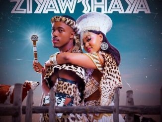 Real Nkosana Ziyaw’shaya Mp3 Download