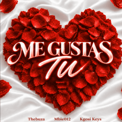 Thebuza Me Gustas Tu Mp3 Download