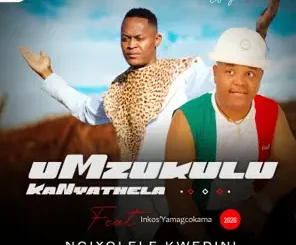 UMzukulu kaNyathela Ngixolele Kwedini Mp3 Download